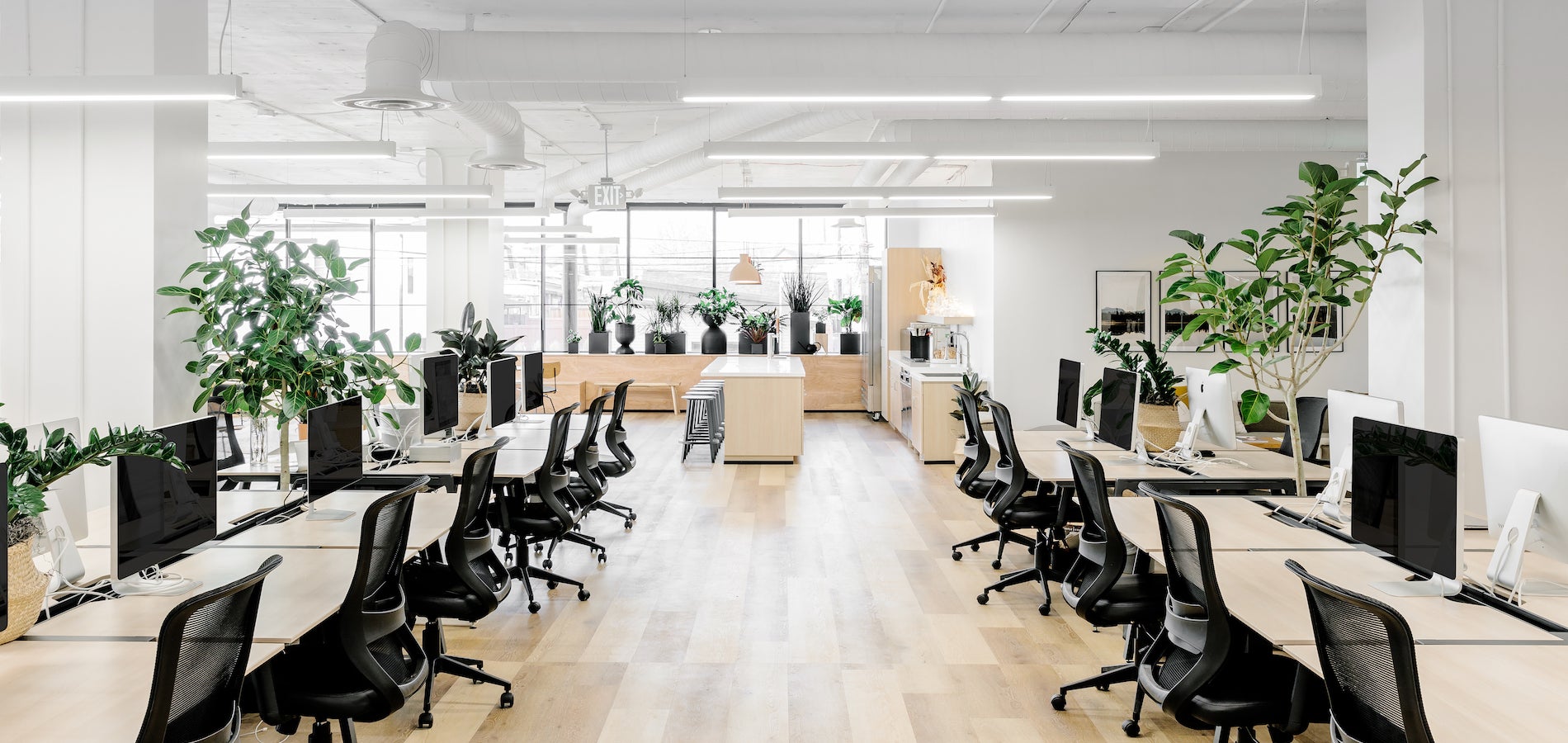 10 Office Design Ideas to Breathe Life Into Your Space